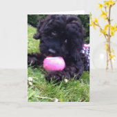 Gruß-Karte - Cockapoo Welpe Karte (Gelbe Blume)