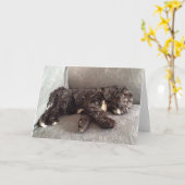 Gruß-Karte - Cockapoo Welpe Karte (Gelbe Blume)