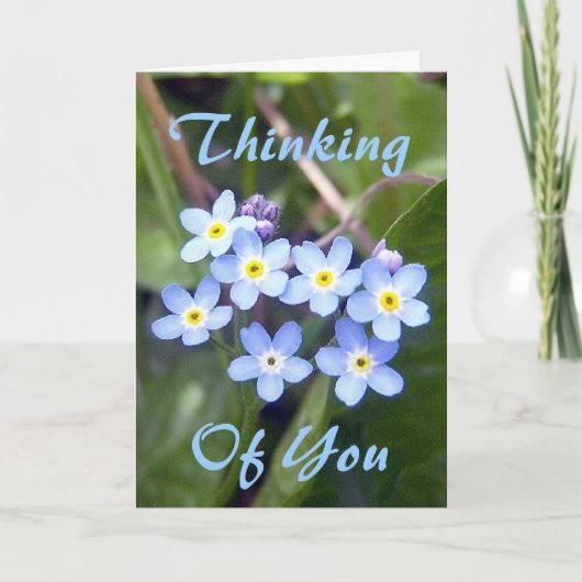 Gruß-Karte der Vergissmeinnicht-2 Karte (Vorderseite)