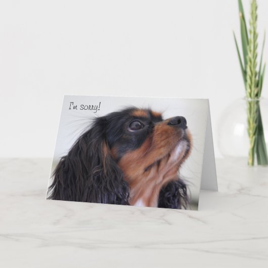 Gruß-Karte - es tut mir leid Karte (Vorderseite)