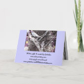 Gruß Karte-Früh Frühlings-Rotkehlchen im Baum Karte (Rückseite)