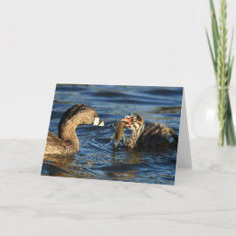 Gruß-Karte - Gescheckt-berechnete Grebes mit Karte