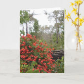 GRUSS-KARTE - korallenroter Strampler Karte (Gelbe Blume)