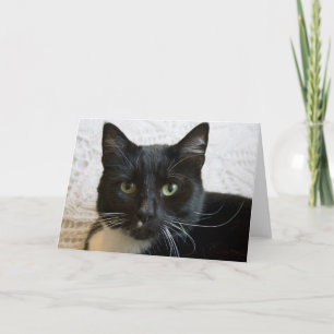 Gruß-Karte: Lilly Karte