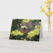 Gruß-Karte mit Schmetterling und gelben Blumen Karte (Gelbe Blume)