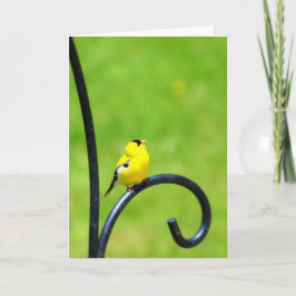 Gruß-Karte oben schauen Karte