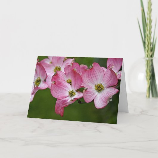 Gruß-Karte: Rosa Hartriegel Karte (Vorderseite)