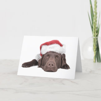 Gruß-Karte Weihnachten Labrador