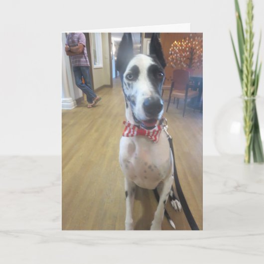 Gruß-Karten durch Bulldozer, den die Therapie Karte (Vorderseite)