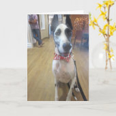 Gruß-Karten durch Bulldozer, den die Therapie Karte (Gelbe Blume)