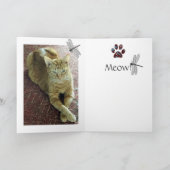 Gruß-Karten-Katzen Karte (Innenseite)