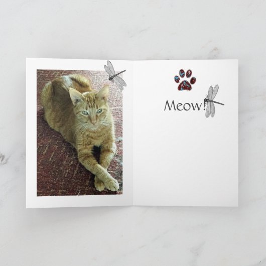 Gruß-Karten-Katzen Karte (Innenseite)