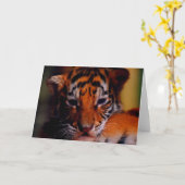 Gruß-Karten-Raum-Tiger CUB Karte (Gelbe Blume)