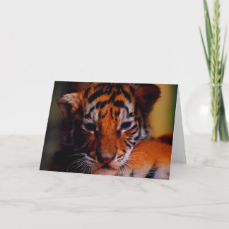 Gruß-Karten-Raum-Tiger CUB Karte