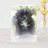 Gruß-Karten Shih Tzu Karte (Gelbe Blume)