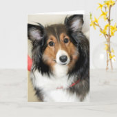 Gruß/Mitteilungskarten die Karte (Gelbe Blume)