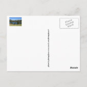 Gruß von Colorful Colorado Postcard Postkarte (Rückseite)