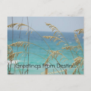 Gruß von der Postkarte Destin
