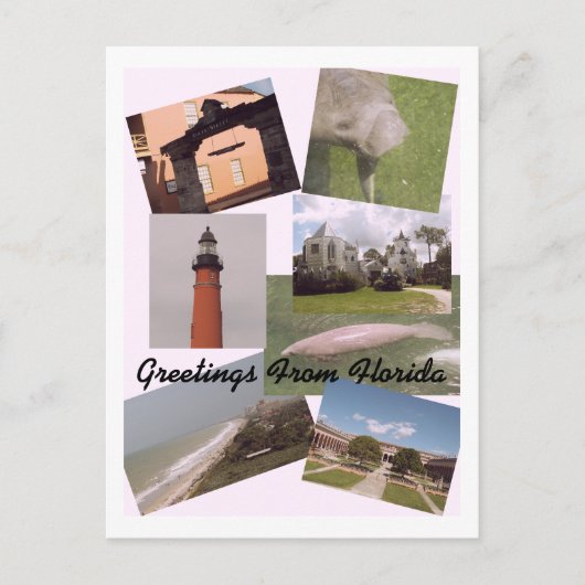 Gruß von Florida Postcard Postkarte (Vorderseite)