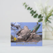 Gruß von Florida Postcard Postkarte (Stehend Vorderseite)