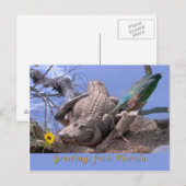 Gruß von Florida Postcard Postkarte (Vorne/Hinten)