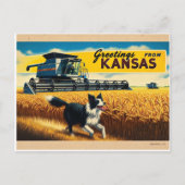 Gruß von Kansas Wheat Combine Border Collie Postkarte (Vorderseite)