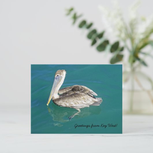 Gruß von Key West Postkarte (Stehend Vorderseite)