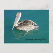 Gruß von Key West Postkarte (Vorderseite)