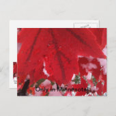 Gruß von Minnesota Postkarte (Vorne/Hinten)