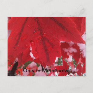 Gruß von Minnesota Postkarte