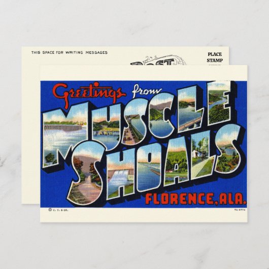 Gruß von Muskelschalen, AL Postcard Postkarte (Vorne/Hinten)