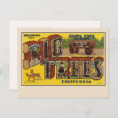 Gruß von Santa Cruz Große Briefkarte Postkarte (Vorne/Hinten)