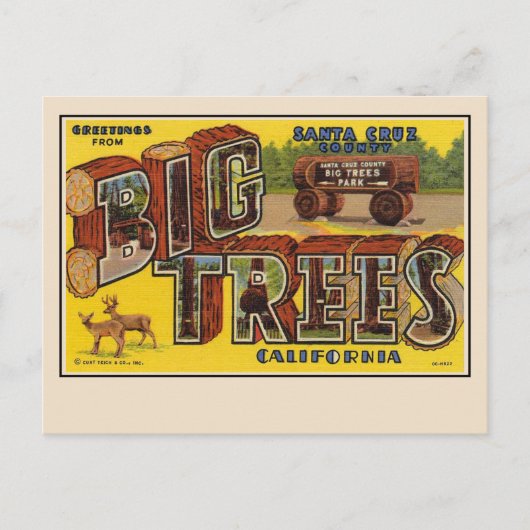 Gruß von Santa Cruz Große Briefkarte Postkarte (Vorderseite)