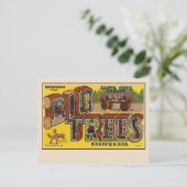 Gruß von Santa Cruz Große Briefkarte Postkarte (Stehend Vorderseite)