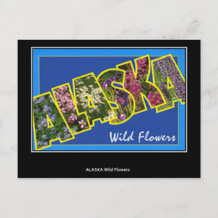 Grüße aus Alaska Vintage Postkarte