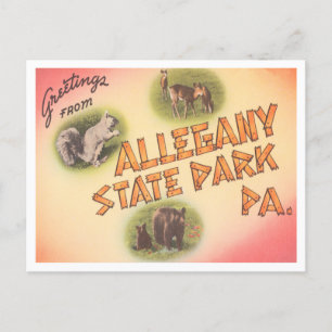 Grüße aus Allegany Staat Park, Pennsylvania Postkarte