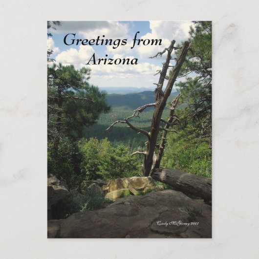Grüße aus Arizona Postkarte (Vorderseite)