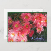 Grüße aus Australien Postkarte (Vorne/Hinten)