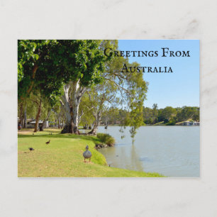 Grüße aus Australien River Murray Ducks Postkarte