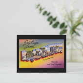 Grüße aus Bradenton Florida Postkarte (Stehend Vorderseite)