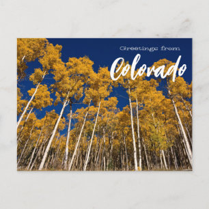 Grüße aus Colorado Postkarte Aspen Bäume