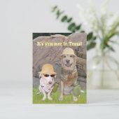 Grüße aus dem heißen Süden! Postkarte (Stehend Vorderseite)