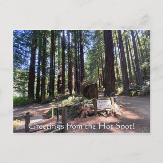 Grüße aus dem Hot Spot! Postkarte (Vorderseite)