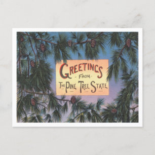 Grüße aus dem Pine Tree State, Maine Reise Postkarte