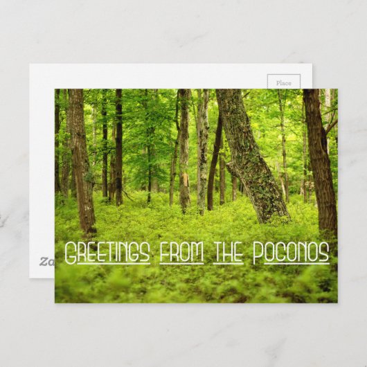 Grüße aus dem Poconos Summer Woods Postkarte (Vorne/Hinten)