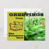 Grüße aus dem Staat Washington Postkarte (Vorne/Hinten)