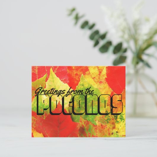Grüße aus den farbenfrohen Poconos-Blätter Postkarte (Stehend Vorderseite)