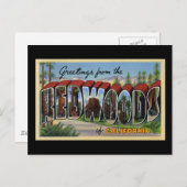 Grüße aus den Redwoods of California Postkarte (Vorne/Hinten)