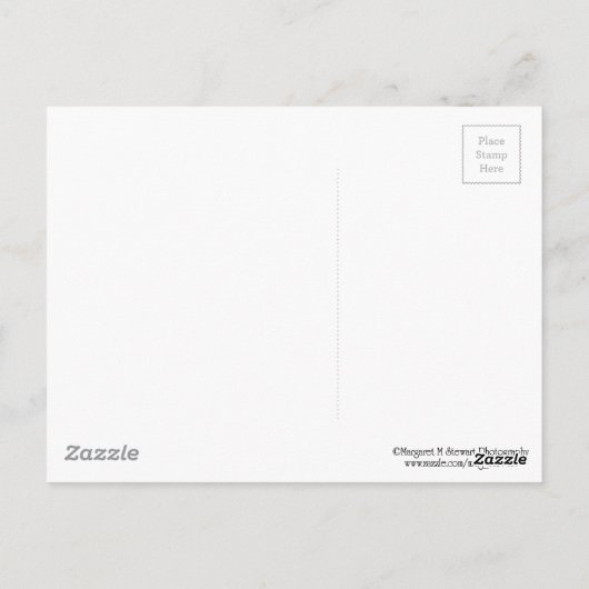 Grüße aus der Poconos Herbstwasserfallszene Postkarte (Rückseite)