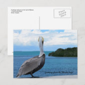 Grüße aus der Postkarte der Florida Keys (Vorne/Hinten)